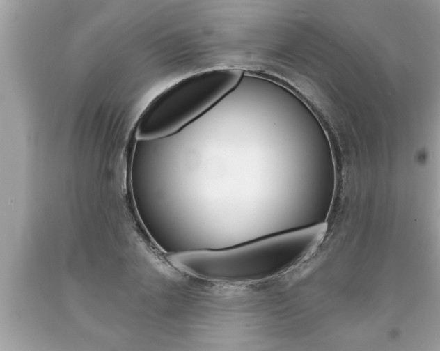 X0000094170838200710260907