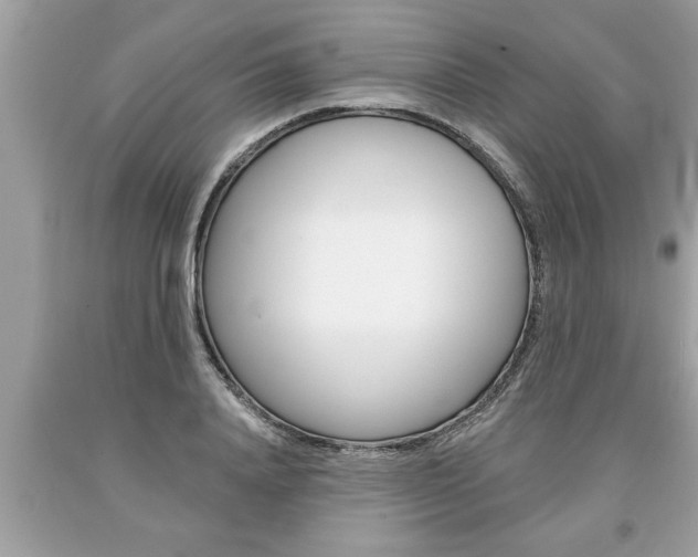 X0000094170840200710260907
