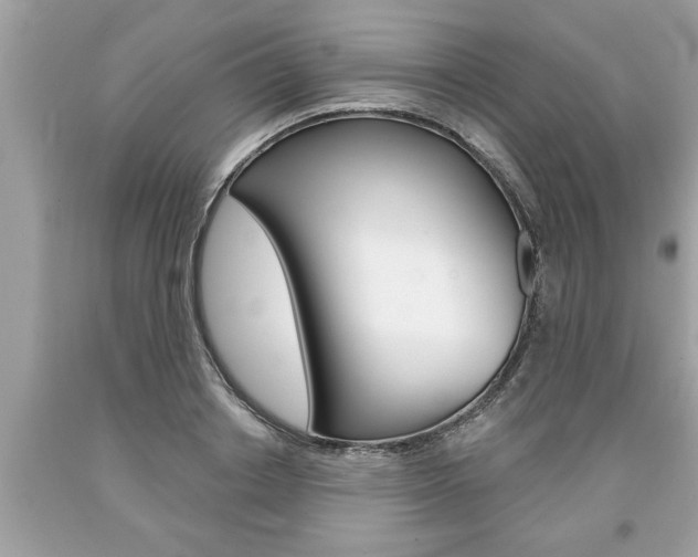 X0000094170842200710260907