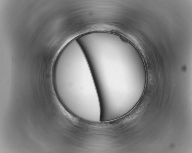 X0000094170843200710260907