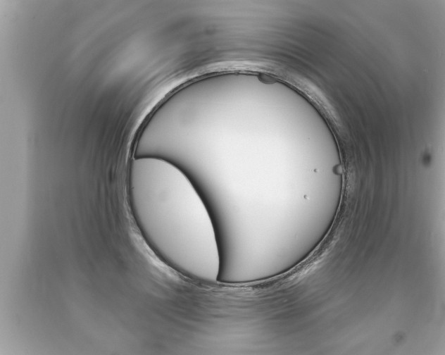 X0000094170844200710260907