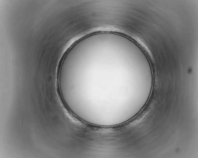 X0000094170845200710260907