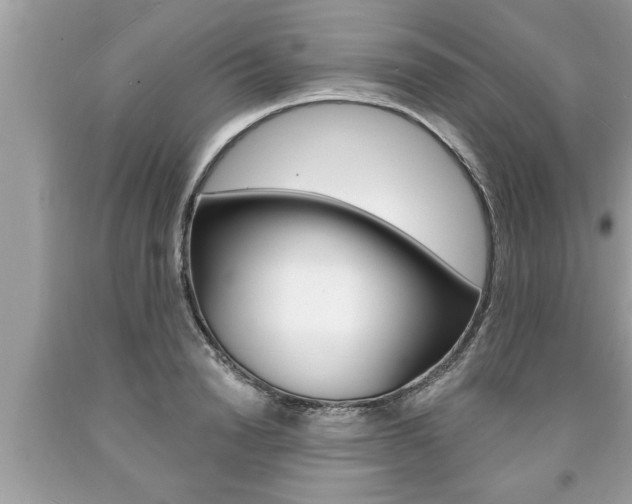 X0000094170846200710260907