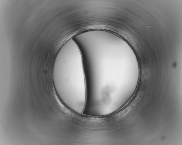 X0000094170849200710260907
