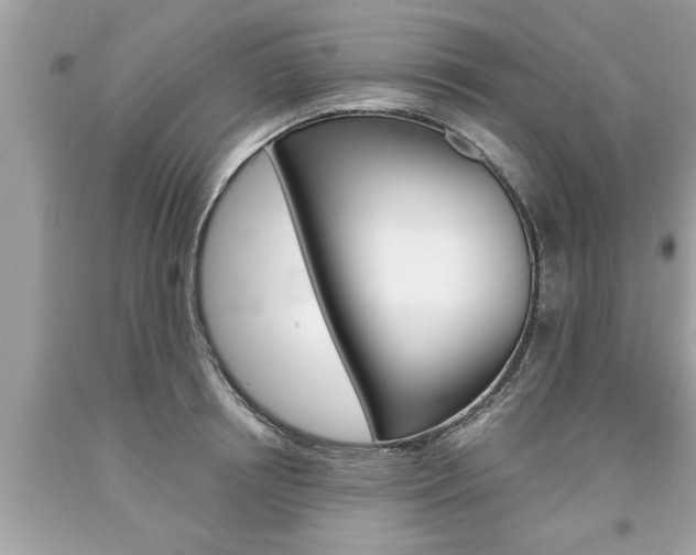 X0000094170850200710260907