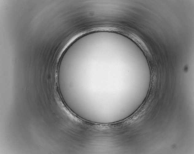 X0000094170852200710260907