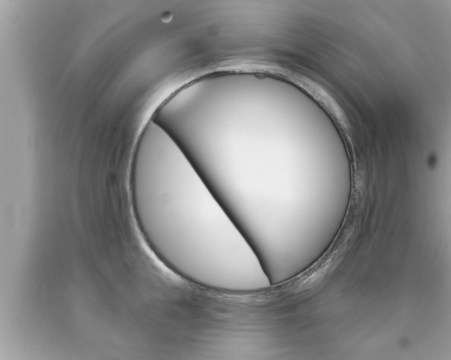 X0000094170855200710260907