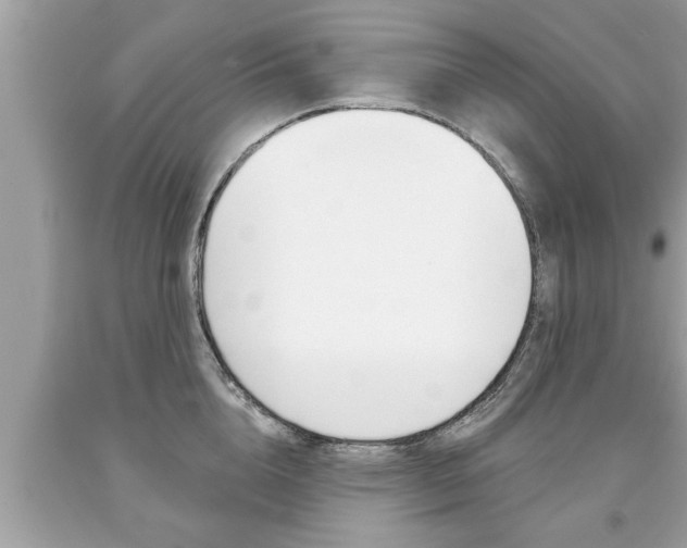 X0000094170856200710260907