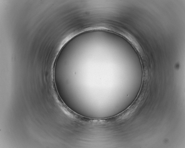 X0000094170858200710260908