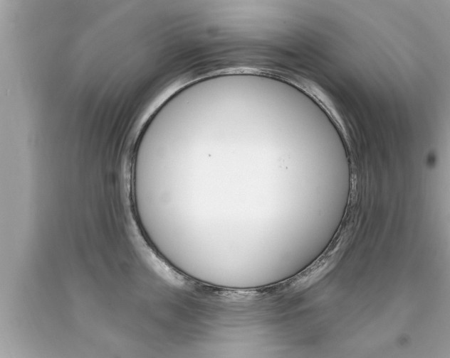 X0000094170859200710260908