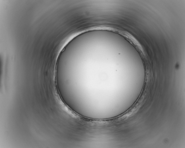 X0000094170860200710260908
