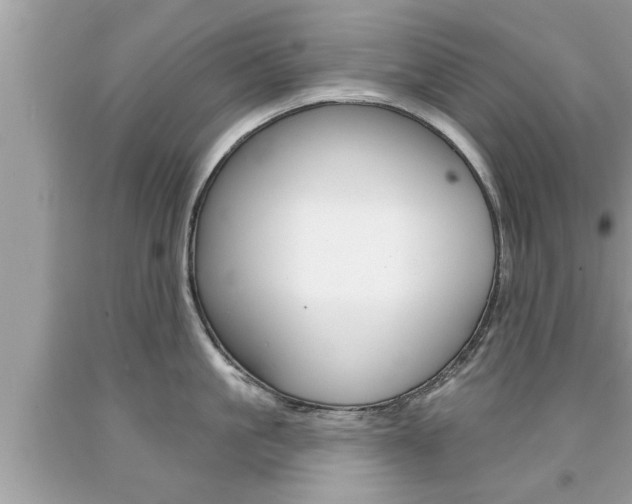 X0000094170861200710260908