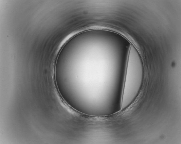 X0000094170862200710260908