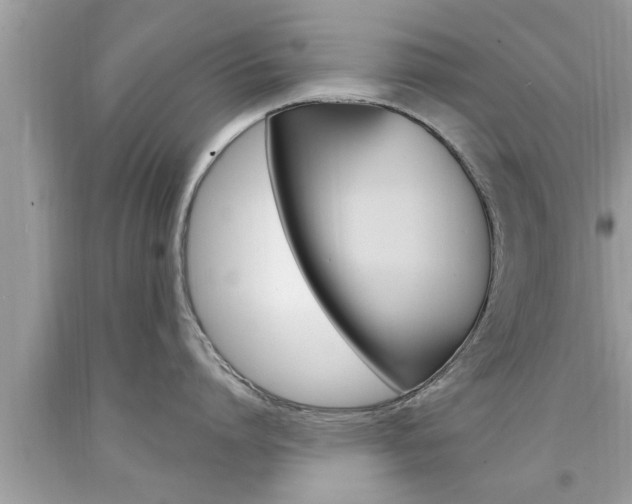 X0000094170864200710260908