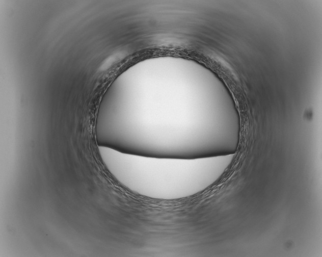 X0000094170869200710260907
