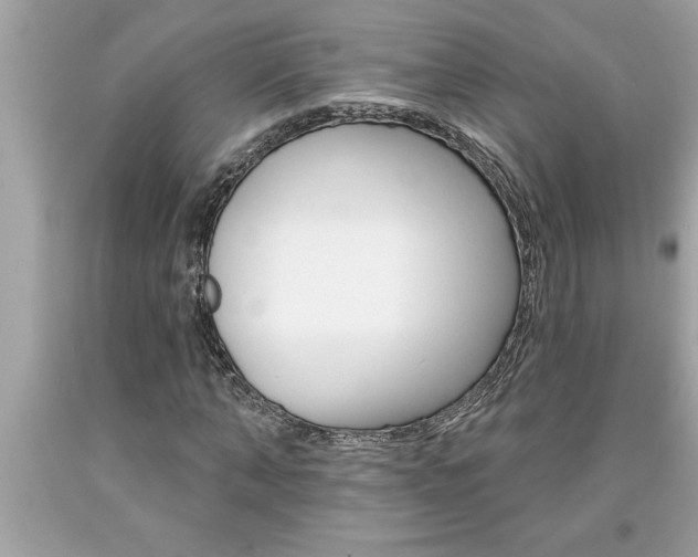 X0000094170870200710260907