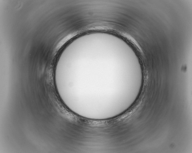 X0000094170874200710260907