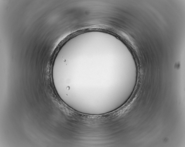 X0000094170875200710260907
