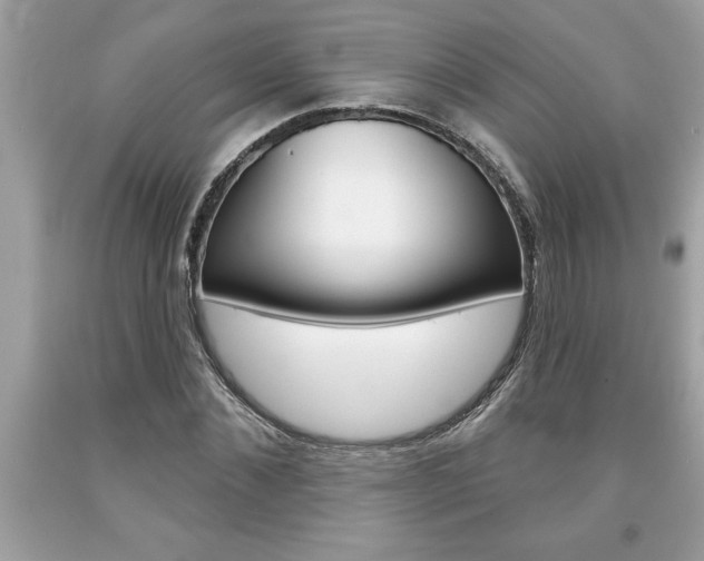 X0000094170876200710260907