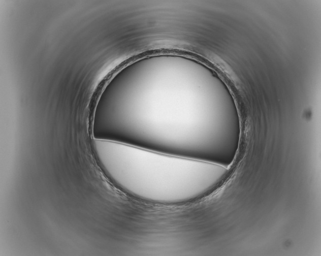 X0000094170877200710260907