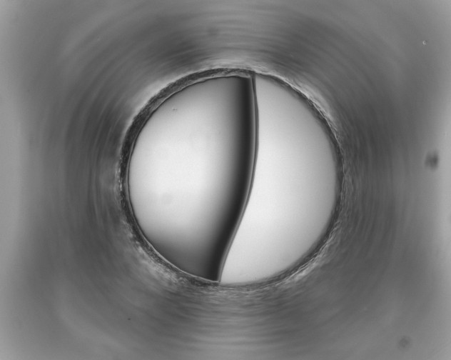 X0000094170880200710260907