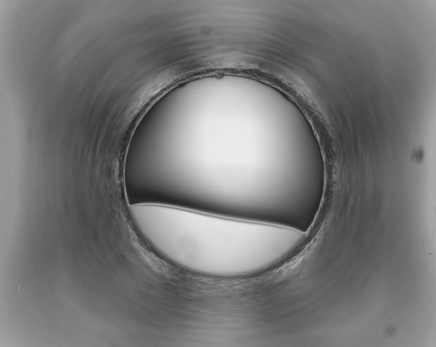X0000094170881200710260907