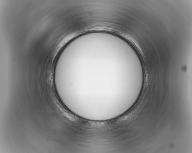 X0000094170882200710260907