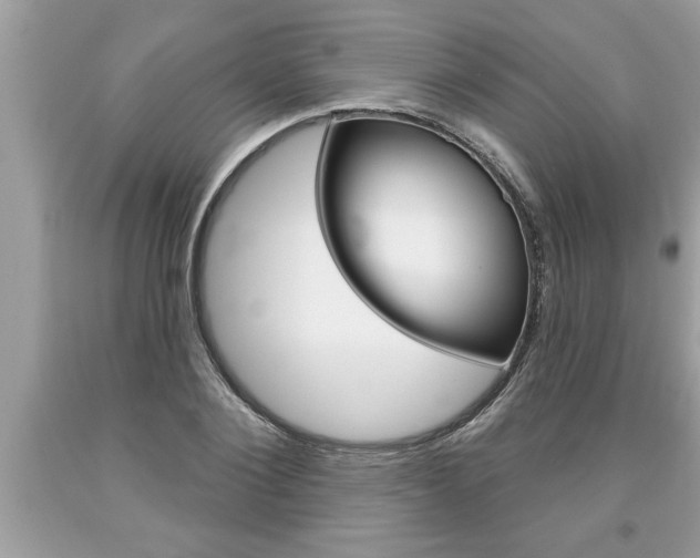 X0000094170884200710260907