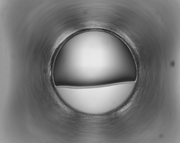 X0000094170885200710260907