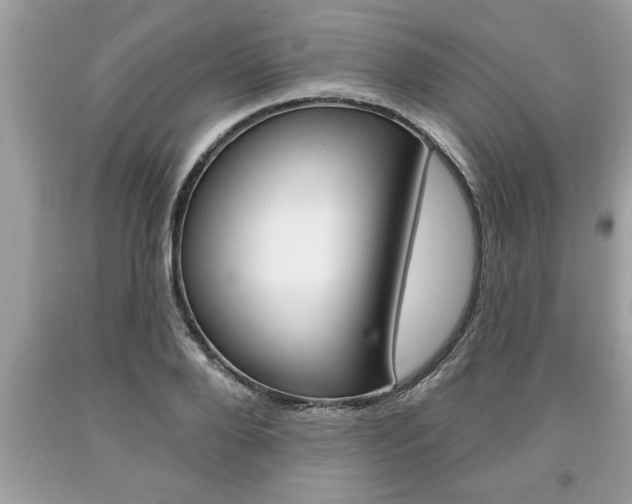 X0000094170888200710260907