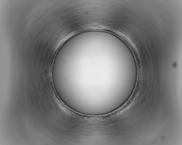 X0000094170889200710260907