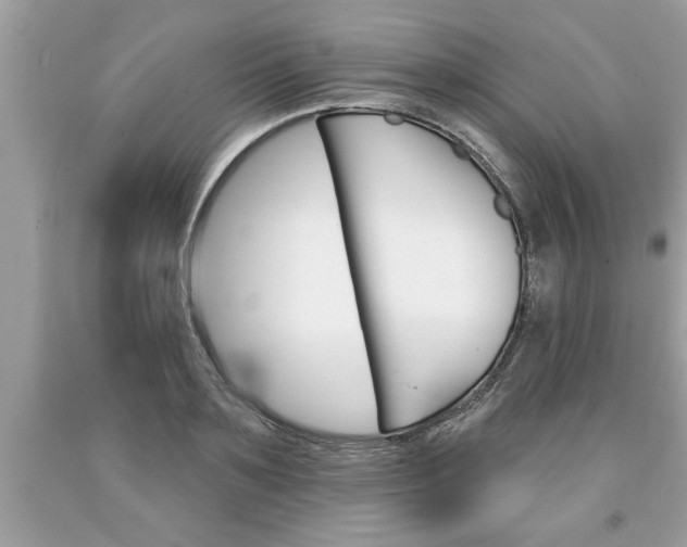 X0000094170891200710260907