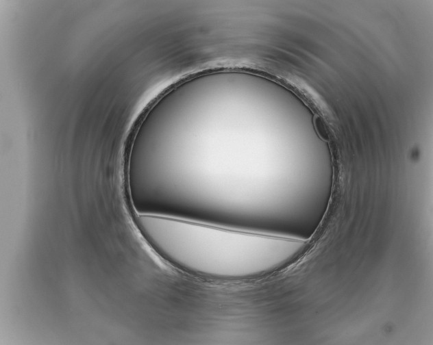 X0000094170894200710260907