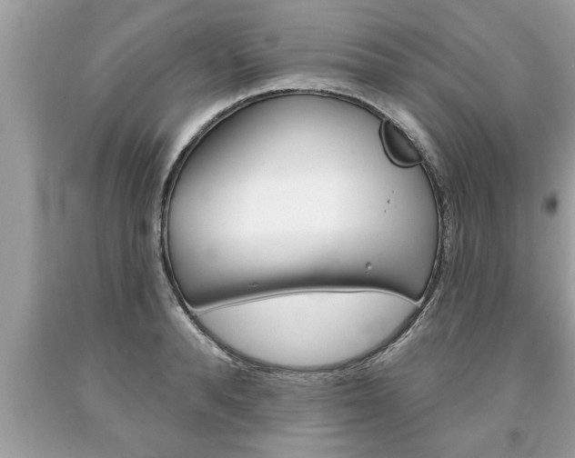 X0000094170896200710260906