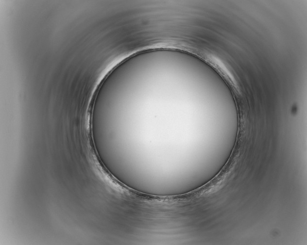 X0000094170900200710260906