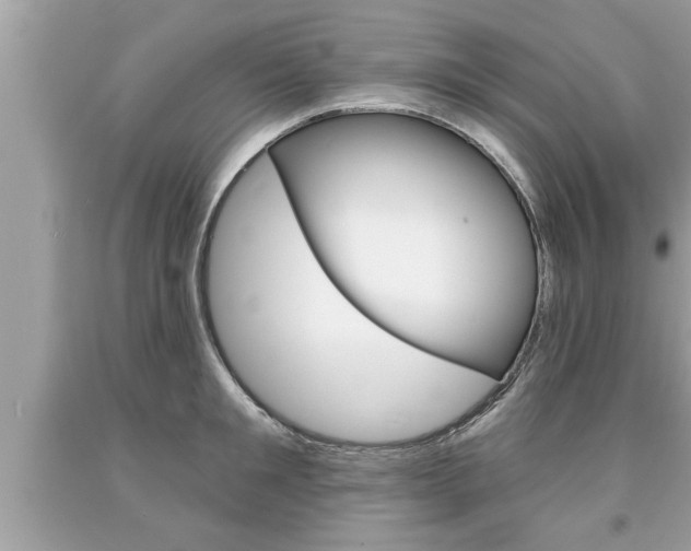 X0000094170901200710260906