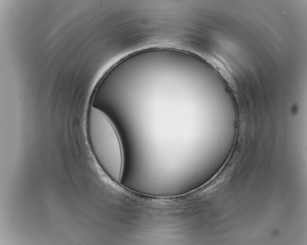 X0000094170904200710260906