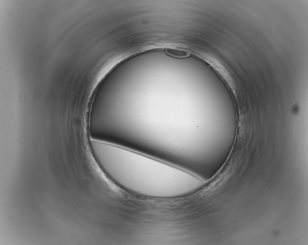 X0000094170906200710260906