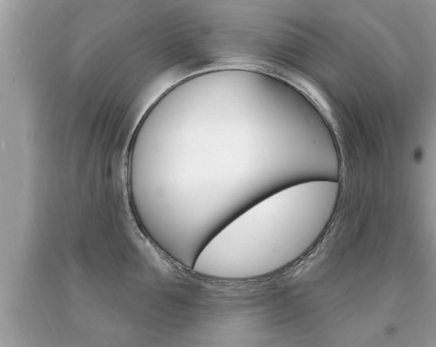 X0000094170907200710260906