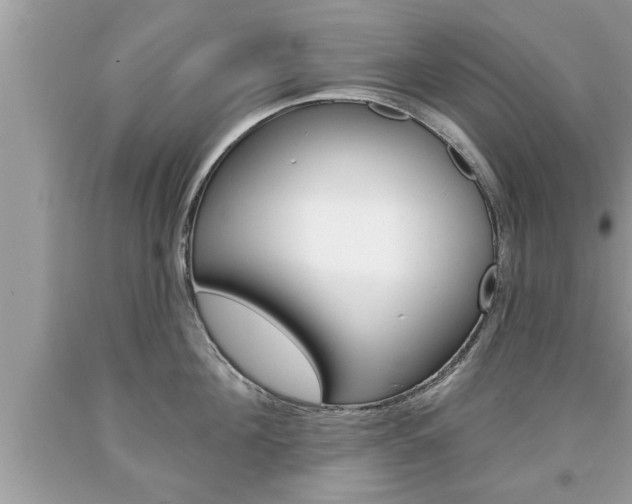 X0000094170908200710260906