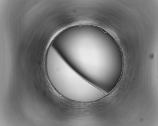 X0000094170912200710260906