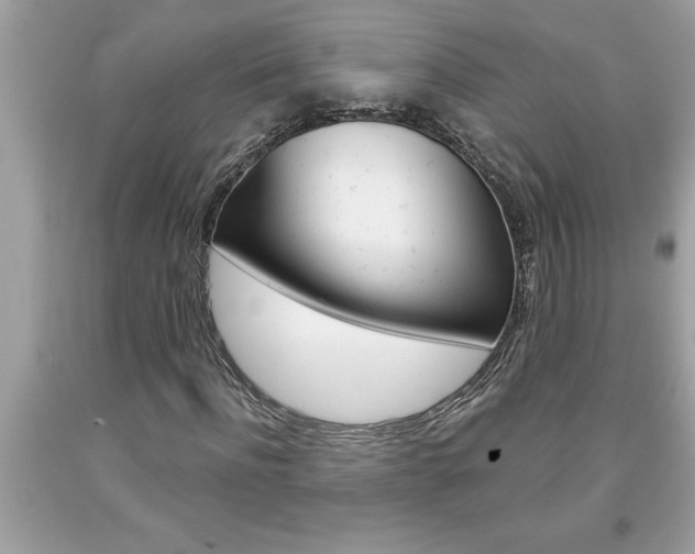 X0000094170916200710260906