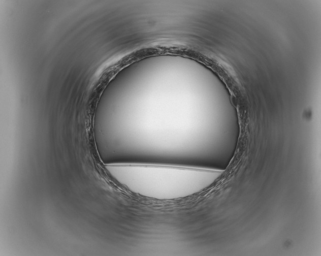 X0000094170920200710260906