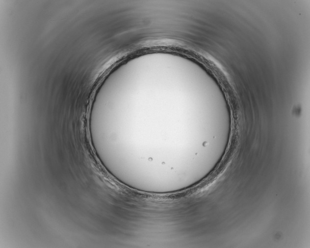 X0000094170921200710260906