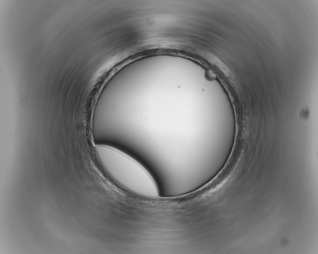 X0000094170922200710260906
