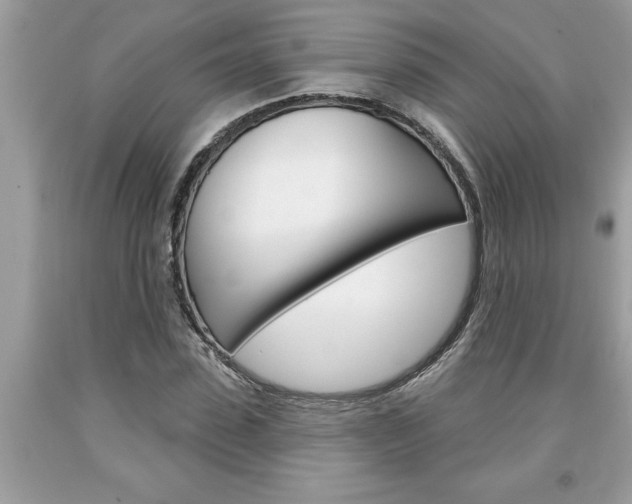 X0000094170923200710260906