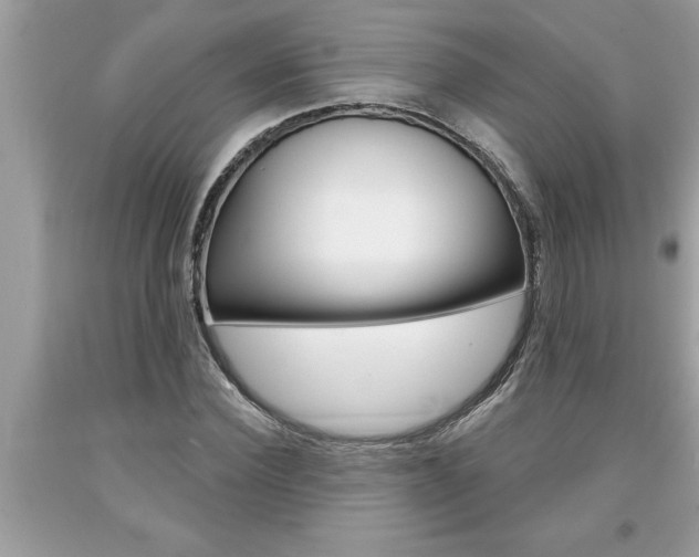 X0000094170924200710260906