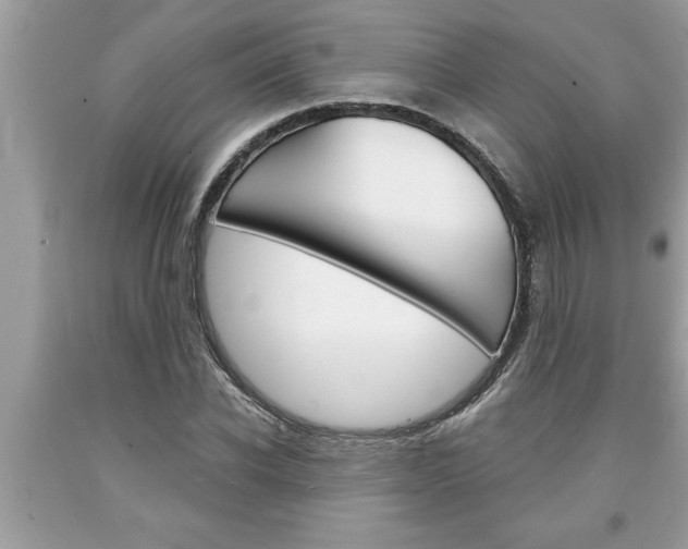 X0000094170926200710260906