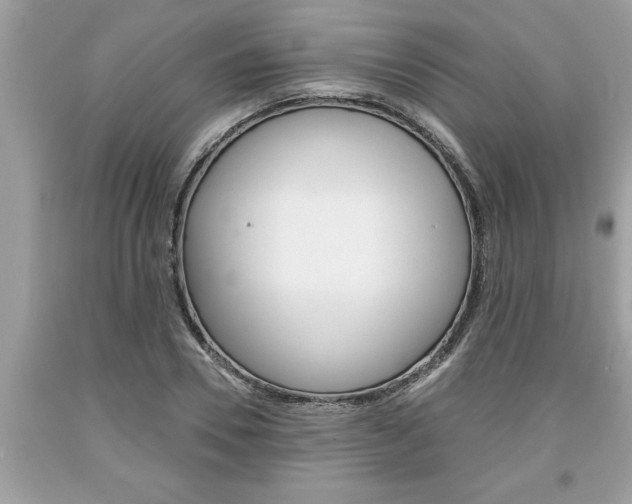 X0000094170930200710260906
