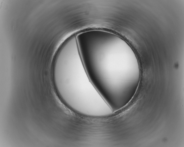 X0000094170934200710260906